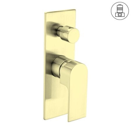 BIANCA SHOWER MIXER WITH DIVERTOR BRUSHED GOLD (NR321511aBG)