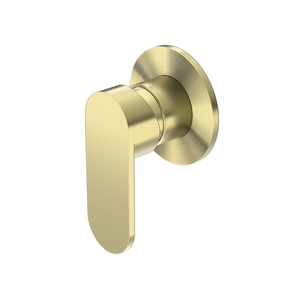 Ecco Shower Mixer Round Back Shower Valve Mixer Kit Round Back Plate BRUSHED GOLD (NR301311dBG)