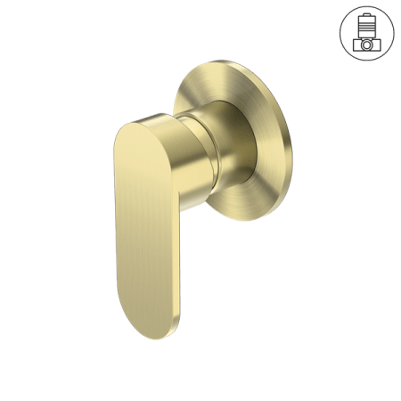 Ecco Shower Mixer Round Back Shower Valve Mixer Kit Round Back Plate BRUSHED GOLD (NR301311dBG)
