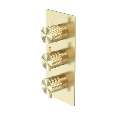 OPAL THERMOSTATIC SHOWER MIXER WITH DIVERTOR SEPARATE PLATE MULTI FUNCTION THERMOSTATIC SHOWER BRASS VALVE BRUSHED GOLD (NR251909wBG)