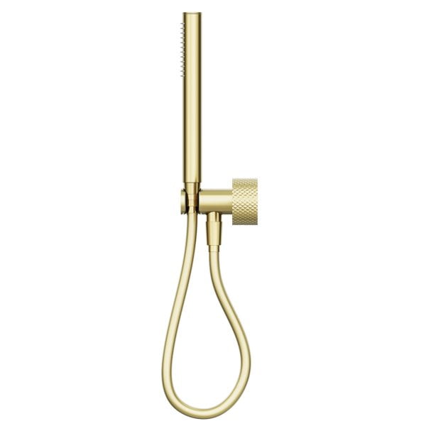OPAL PROGRESSIVE SHOWER SYSTEM SEPARATE PLATE WITH 2 HANDLES SHOWER HANDHELD BRUSHED GOLD (NR252003dBG)