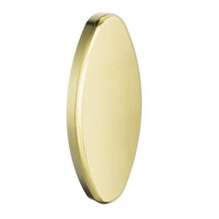 BACKREST REMOVABLE WALL COVER PLATE METALLIC COLOR PLATE BRUSHED GOLD (NRCR0005BG)