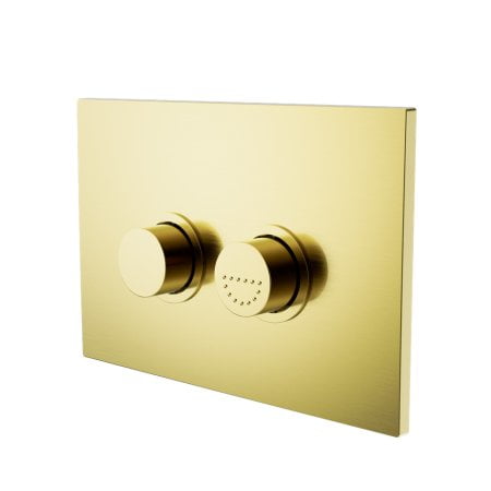 RAISED DISABLED CARE PNEUMATIC FLUSH BUTTONS PLATE DDA COMPLAINT BRUSHED GOLD (NRCRPL002BG)