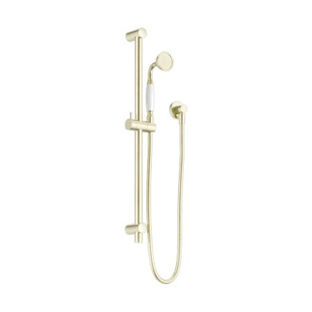 YORK SHOWER RAIL WITH WHITE PORCELAIN HAND SHOWER SET AGED BRASS (NR692105A01AB)