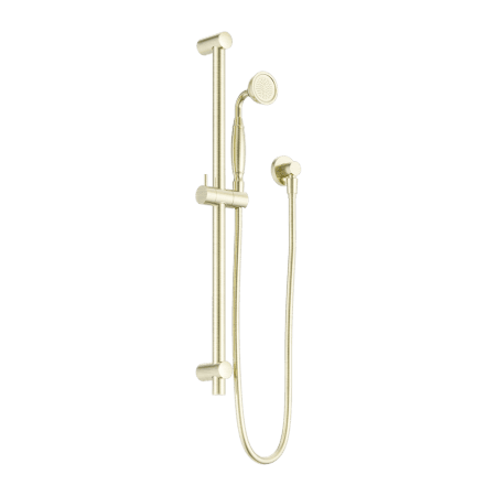 YORK SHOWER RAIL WITH METAL PORCELAIN HAND SHOWER SET AGED BRASS (NR692105A02AB)