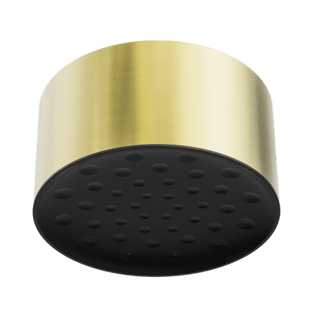 SERENITY CEILING SHOWER HEAD BRUSHED GOLD (24D001BG)
