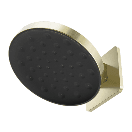 SERENITY WALL SHOWER HEAD BRUSHED GOLD (24D002BG)