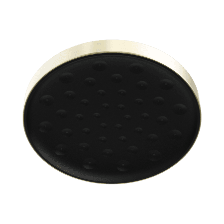 SERENITY SHOWER HEAD BRUSHED GOLD (24D004BG)