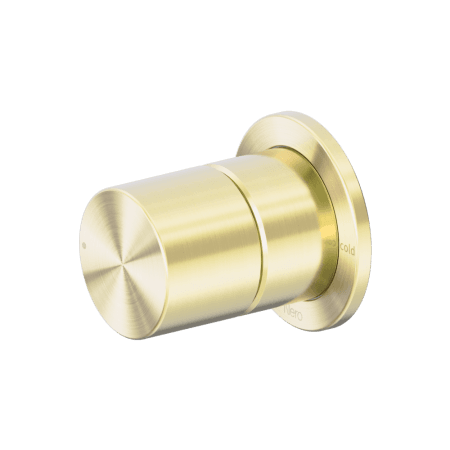Pure SS316L Shower Mixer Brushed Gold (NR172211BG)