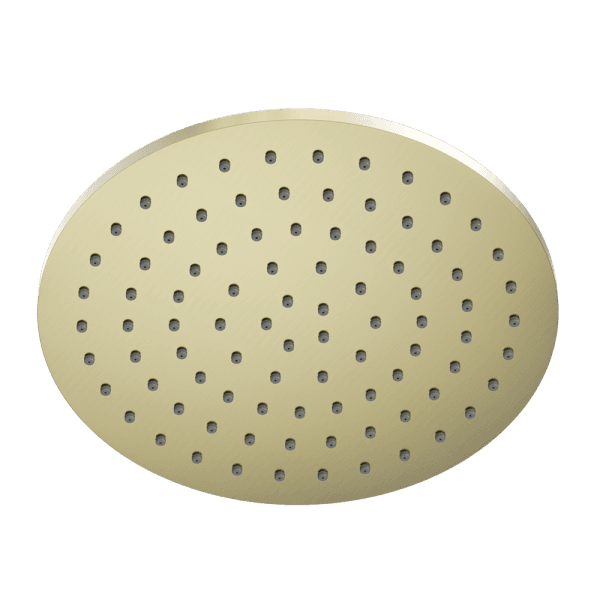 248MM Round Stainless Steel Round Rainfall Shower Head Brushed Gold (NR507046BG)