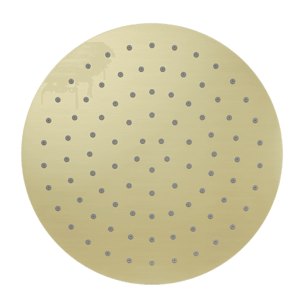 248MM Round Stainless Steel Round Rainfall Shower Head Brushed Gold (NR507046BG)