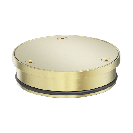 316L Stainless Round Clear Out 100mm Outlet Brushed Gold (NRFW010BG)