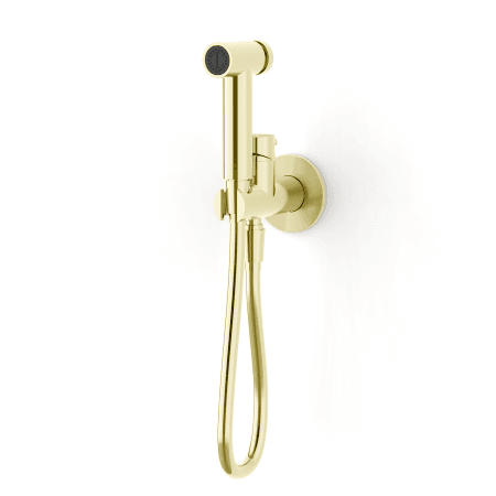 Mecca Hot-Cold Mixing Bidet Sprayer Brushed Gold (NR221912mBG)