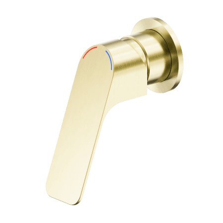 Bianca Care Shower Mixer 60mm Plate Brushed Gold (NR321511eBG)